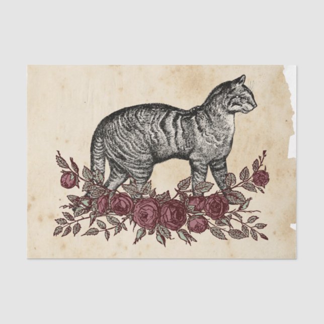 Papel De Seda Efêmeras de Bruxa Série de Design #4 (Frente )