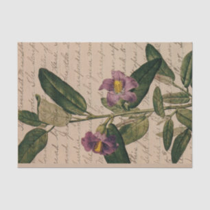 Papel De Seda Efêmeras de Flor Roxa