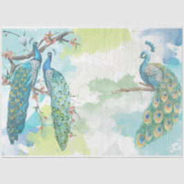 Papel De Seda Efêmeras de Pavão 2