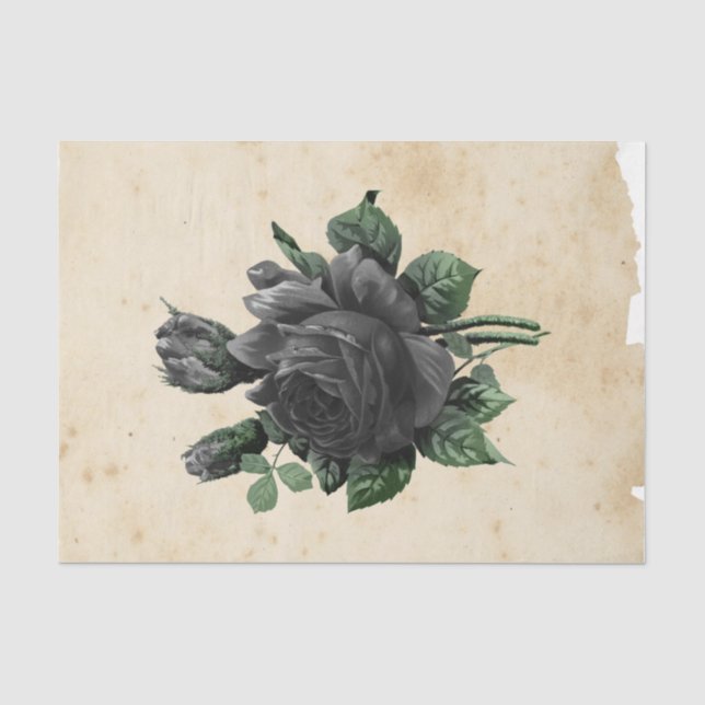 Papel De Seda Efêmero de Bruxa Série de Design #9 (Frente )