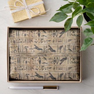Papel De Seda Egyptian hieroglyphics Birds Pattern 2