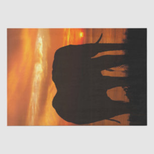 Papel De Seda Elefant Sunset Silhouette
