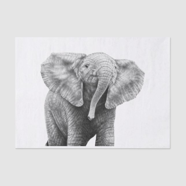 Papel De Seda Elefante africano do bebê (Frente )