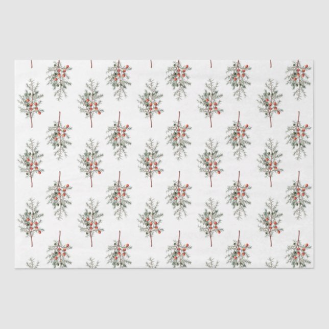 Papel De Seda Elegant Evergreen Branches Scandi Tissue Paper (Frente )