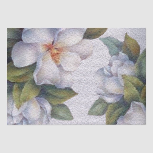 Papel De Seda Elegante Aquarela Cor Branca Magolia Flor (Frente )