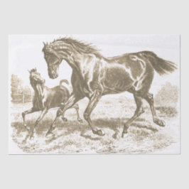 Papel De Seda Elegante Cavalo Vintage Mare Foal Love