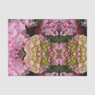 Papel De Seda Elegante Cor-de-rosa Hydrangeas amarelas cor-de-ro