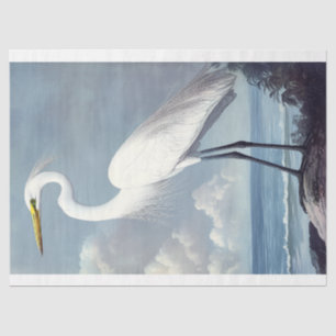 Papel De Seda Elegante Excelente Egret Watercolor Decoupage Bird