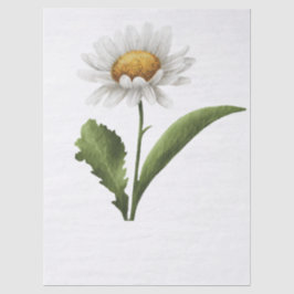 Papel De Seda Elegante flor de dázia moderna
