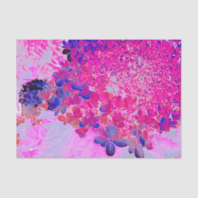 Papel De Seda Elegante Fúchsia e Iluminismo Azul Escuro (Frente )