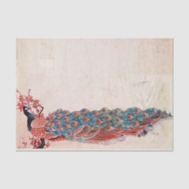 Papel De Seda Elegante Peacock