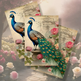 Papel De Seda Elegante Peacock Birdcage - Dissociação Floral Eph
