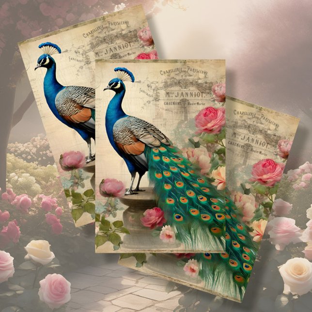 Papel De Seda Elegante Peacock Birdcage - Dissociação Floral Eph (Criador carregado)
