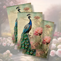 Elegante Peacock Floral French Ephemera Decoupage