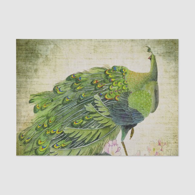 Papel De Seda Elegante Vintage Green Peacock (Frente )