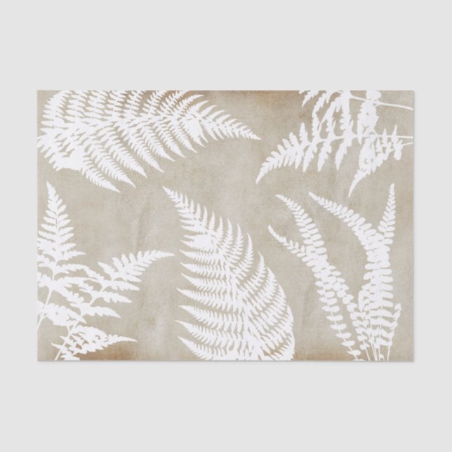 Papel De Seda Elegante White Fern sobre o Kraft Paper (Frente )