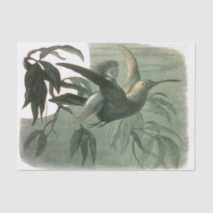 Papel De Seda Elf Fairies Elves Moon Night Bird Voando