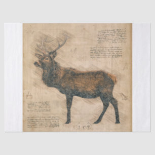 Papel De Seda Elk Rustic Grunge Drawing