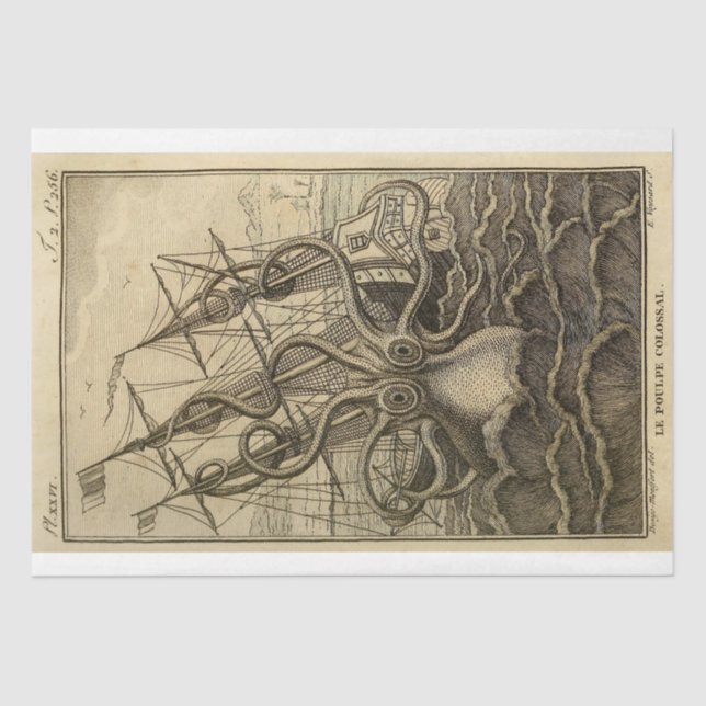 Papel De Seda Embalagem de Dissociação de Ephemera com Octopus N (Frente )