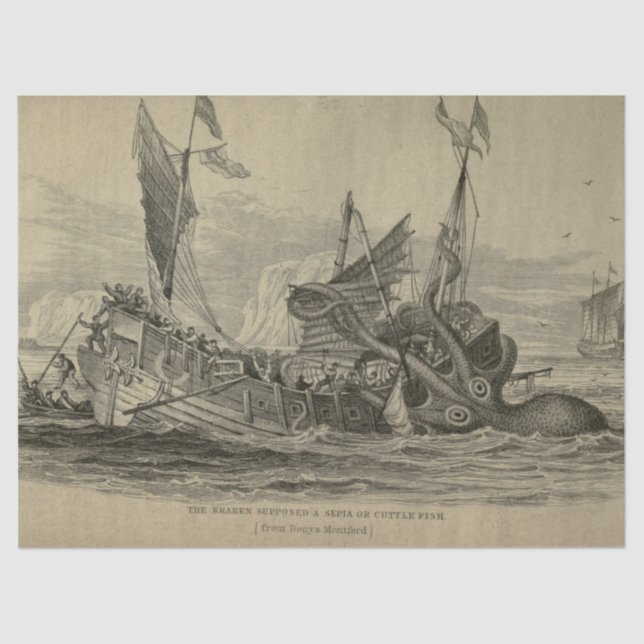 Papel De Seda Embalagem de Dissociação de Ephemera com Octopus N (Frente )