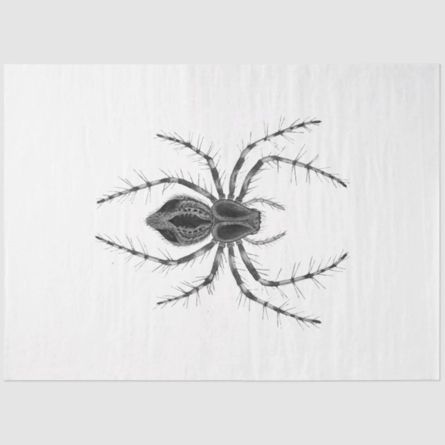 Papel De Seda Encantamento Gótico - Série Design 4 (Frente )