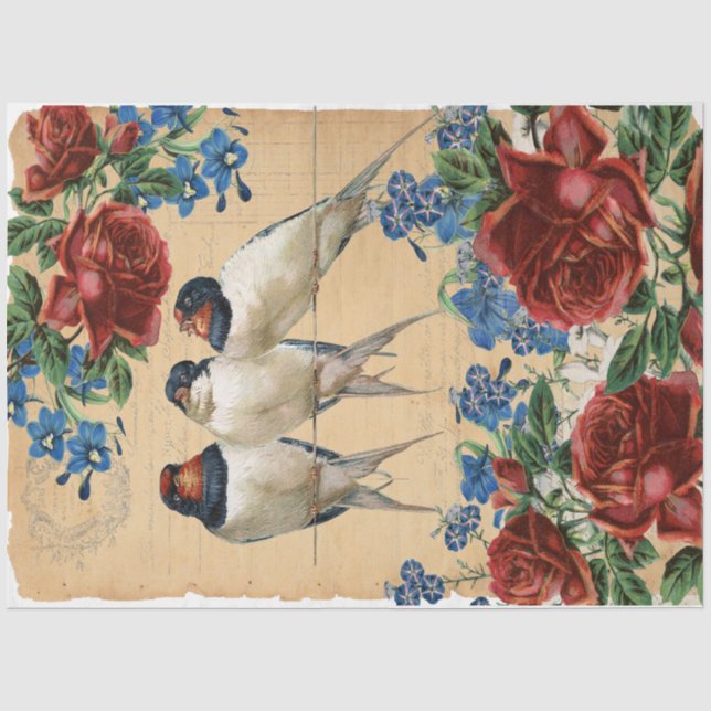 Papel De Seda Engorda (Frente )