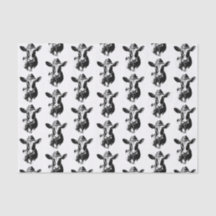 Engraçado Design preto-e-branco da vaca ocidental