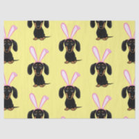 Engraçado Páscoa, Coelhinho Negro e Tan Dachshund