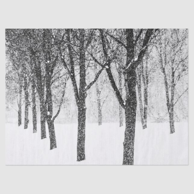 Papel De Seda enquanto eu lado com árvores (Frente )