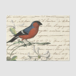 Papel De Seda Ephemera Bird e Script