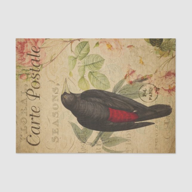 Papel De Seda Ephemera Black Red Bird Pink Rosado Decoupage (Frente )