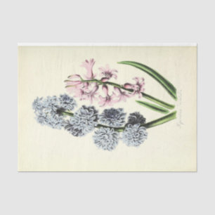 Papel De Seda Ephemera Floral Decoupage Azul e Rosa