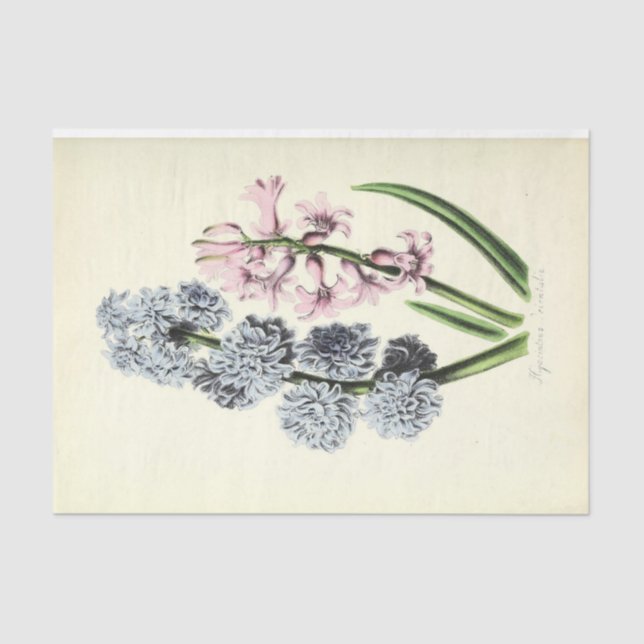 Papel De Seda Ephemera Floral Decoupage Azul e Rosa (Frente )