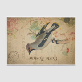 Papel De Seda Ephemera Francês Cartão Postal Waxwing Bird Decoup