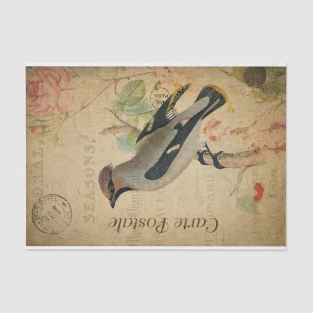 Papel De Seda Ephemera Francês Cartão Postal Waxwing Bird Decoup (Frente )