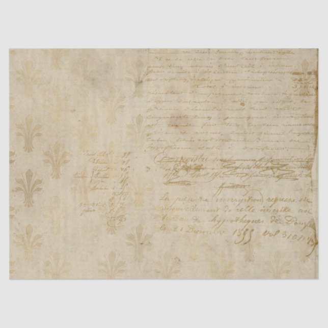 Papel De Seda Ephemera French Paper Series Design 6 (Frente )