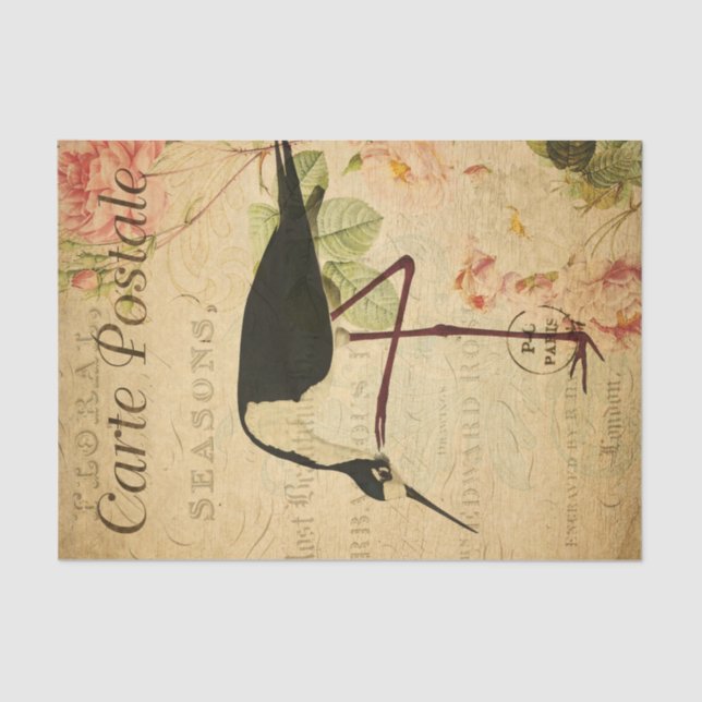 Papel De Seda Ephemera French Postcard Avocet Bird Decoupage (Frente )