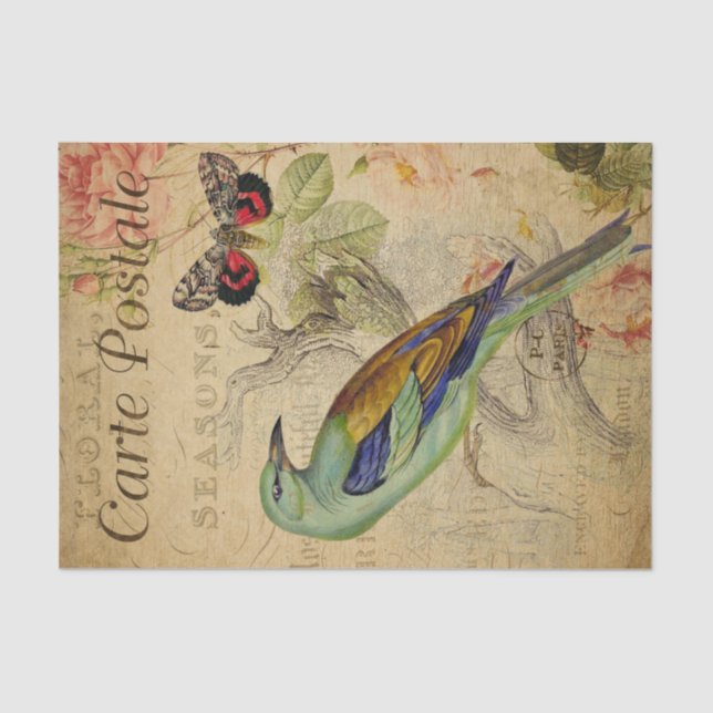 Papel De Seda Ephemera French Postcard Bird Butterfly Decoupage (Frente )