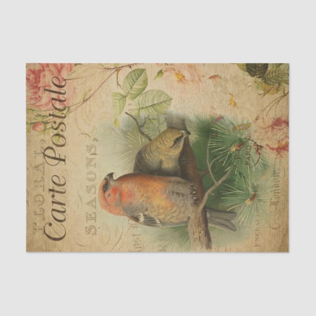 Papel De Seda Ephemera French Postcard Birds Floral Decoupage (Frente )
