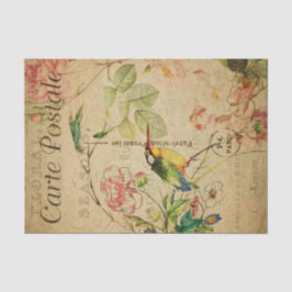 Papel De Seda Ephemera French Postcard Kingfisher Bird Decoupage