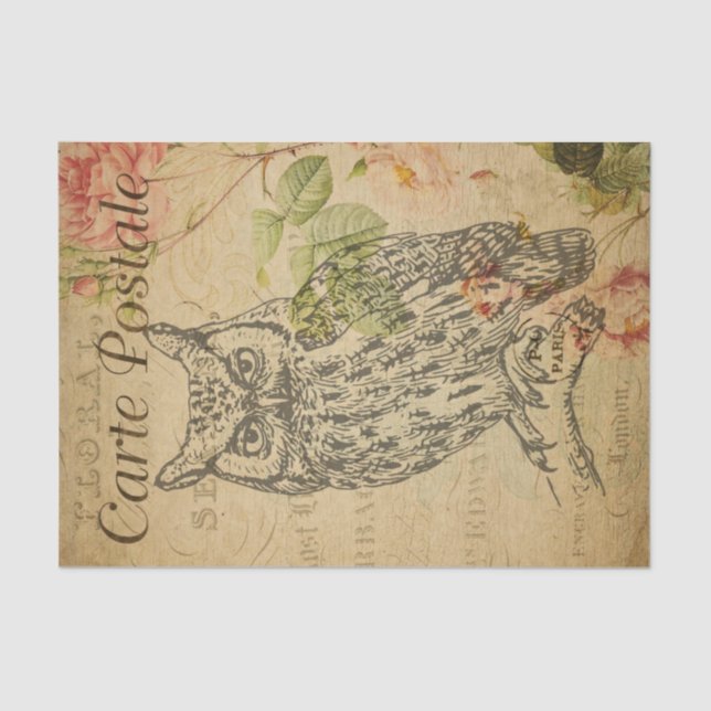 Papel De Seda Ephemera French Postcard Line Art Owpage (Frente )