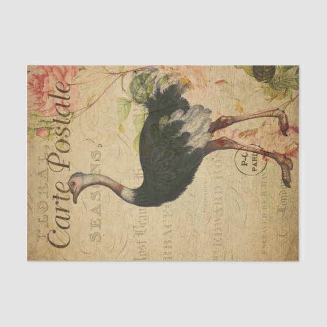 Papel De Seda Ephemera French Postcard Ostrich Decoupage (Frente )