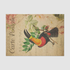 Papel De Seda Ephemera French Tropical Toucan Bird Decoupage