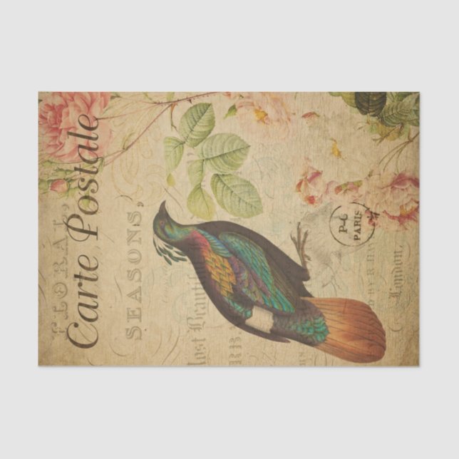 Papel De Seda Ephemera Himalayan Monal Pheasant Bird Decoupage (Frente )