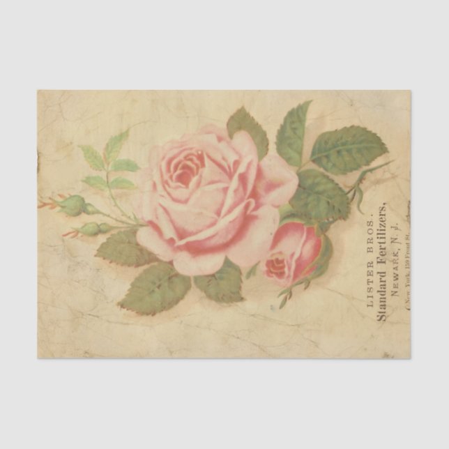 Papel De Seda Ephemera Sheet Design Series nº 10 (Frente )