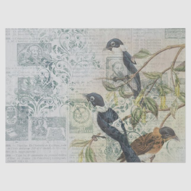 Papel De Seda Ephemeral Birds Series Design Catorze (Frente )