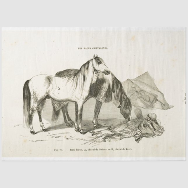 Papel De Seda Equinos Ephemera Decoupage Vintage Francês (Frente )