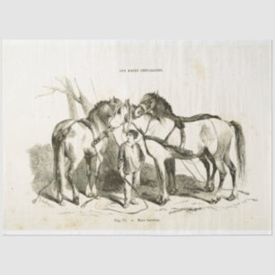 Papel De Seda Equinos Ephemera Decoupage Vintage Tecido Francês