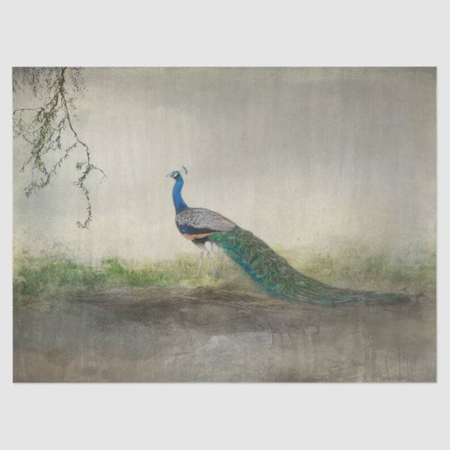 Papel De Seda Era Uma Vez (Frente )