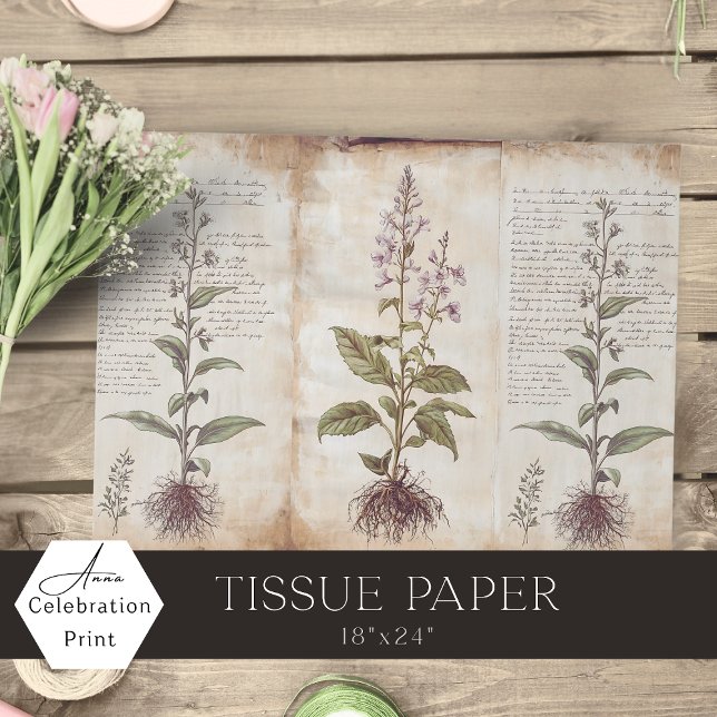 Papel De Seda Ervas Botânicas Antigas Decoupage (Criador carregado)